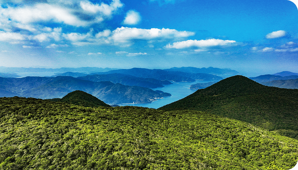 The diverse habitats support abundant biodiversity