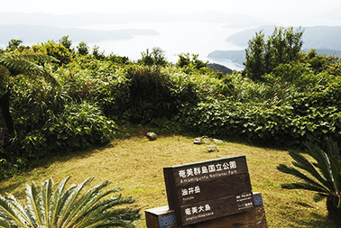 유이산 전망대에서 바라보이는 오시마 해협