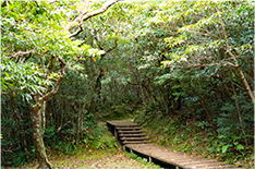 Amamigunto National Park