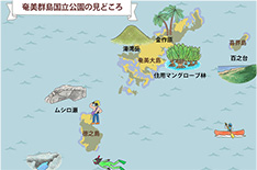 Introduction to Amami Islands
