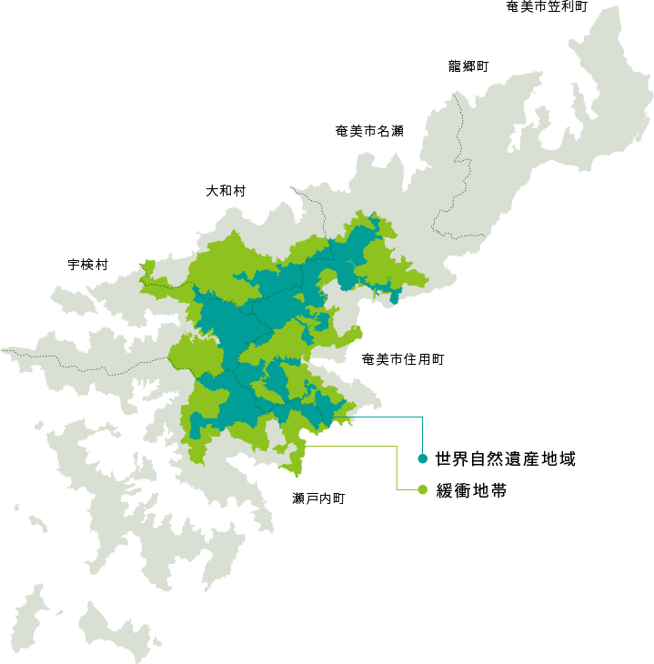 아마미오시마 관광 MAP