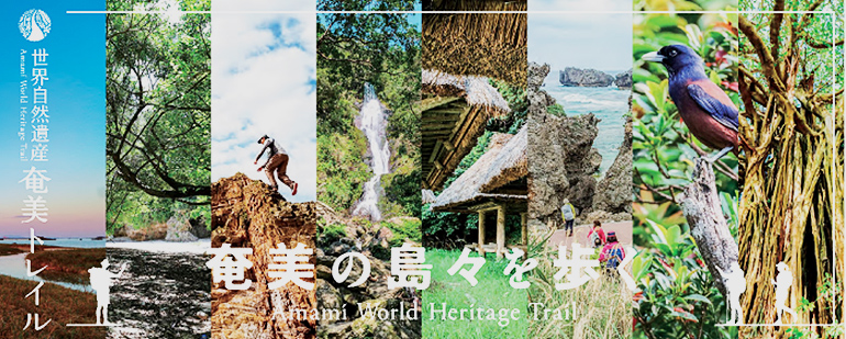 Amami World Heritage Trail