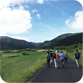 Amami World Heritage Trail