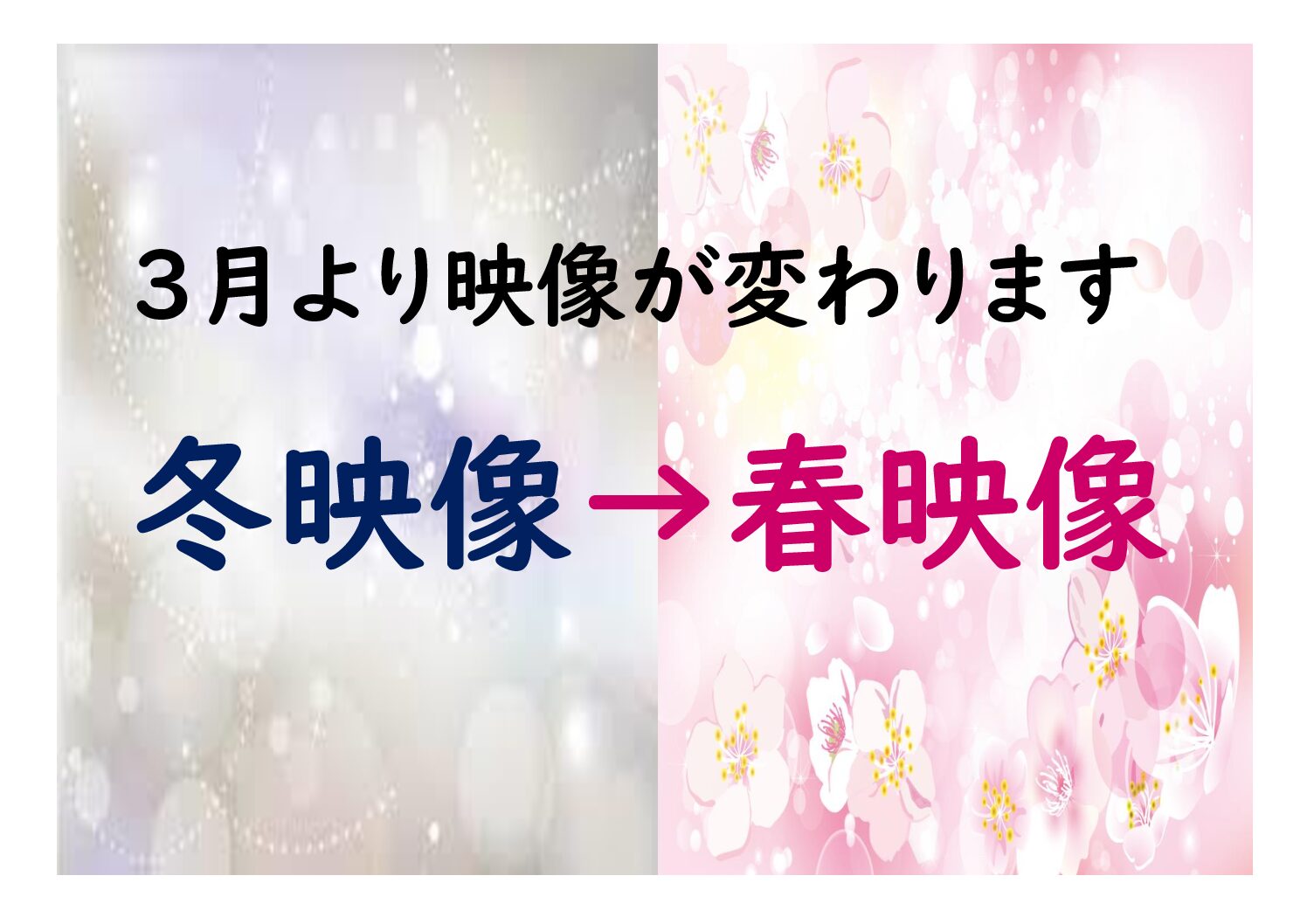 四季映像の移り変わりについて